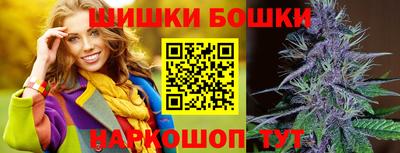 дмт Моздок