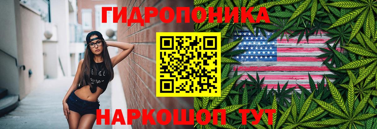 Шишки марихуана VHQ  Бошки Шишки Amnesia  Вологда  Каннабис тримм  Вход с VPN 